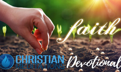 Mustard Seed Sized Faith | Christian Daily Devotional